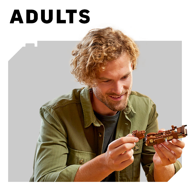 LEGO® Sets 18+