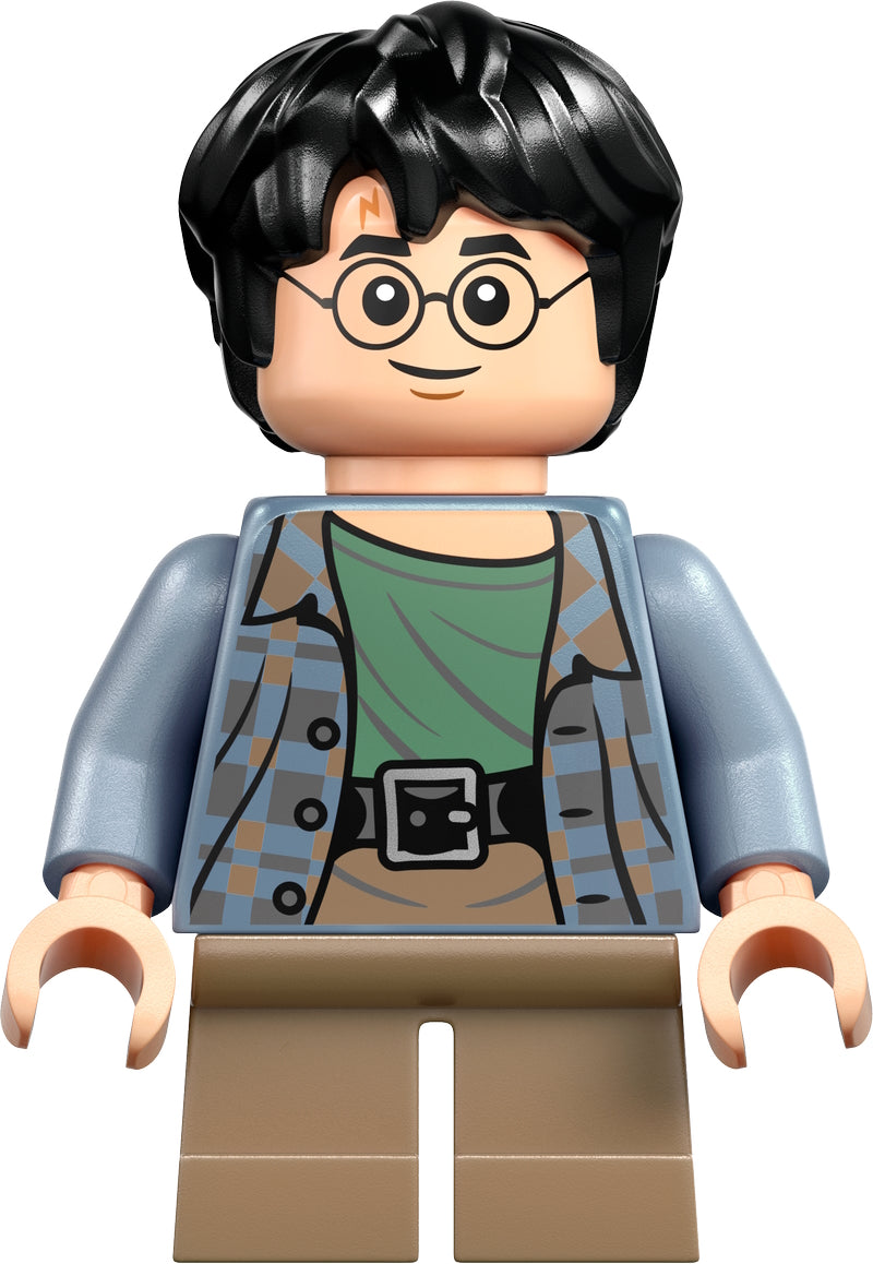 LEGO® - Harry Potter - hp316 - Harry Potter (76390)