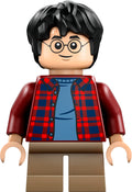 LEGO® - Harry Potter - hp481 - Harry Potter (76424)