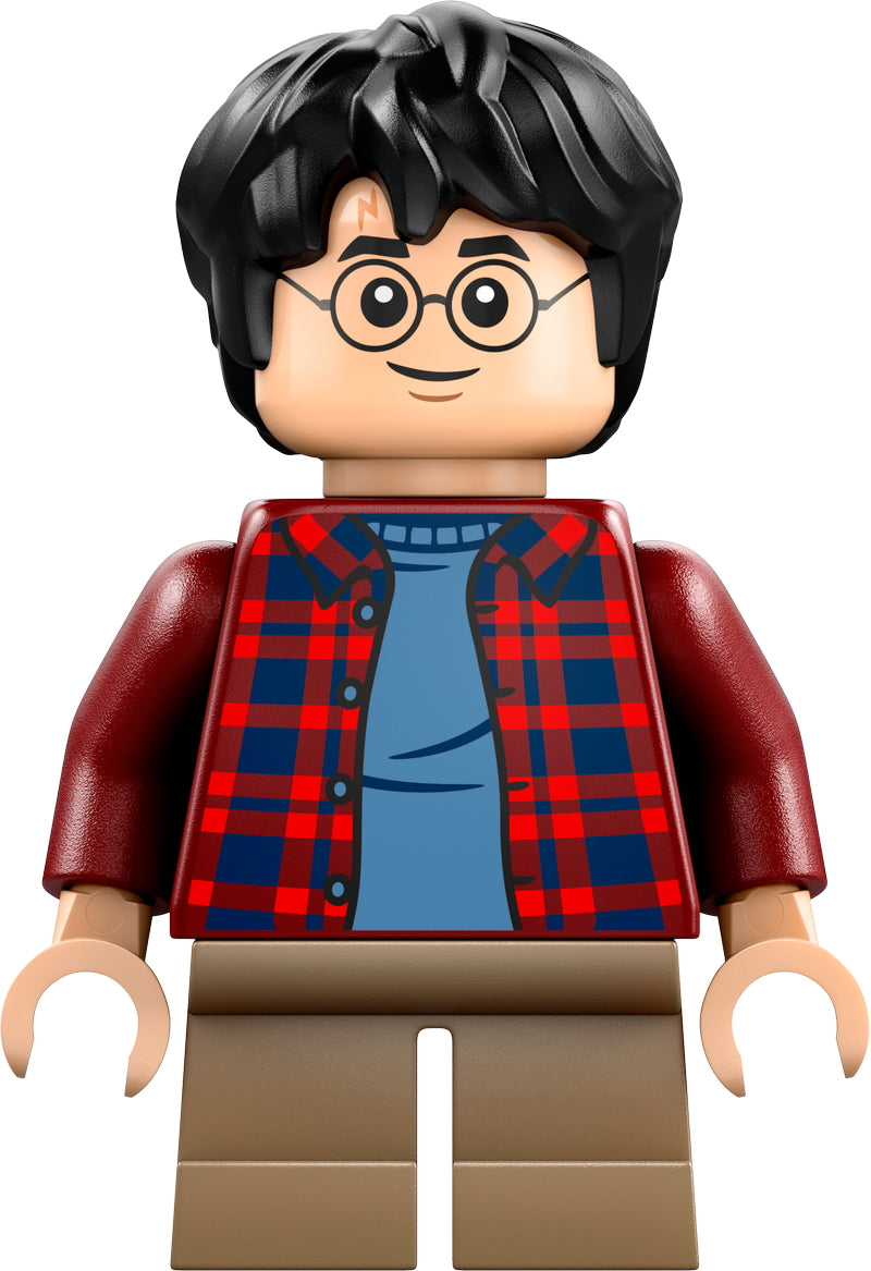 LEGO® - Harry Potter - hp481 - Harry Potter (76424)