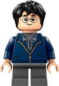 LEGO® - Harry Potter - hp495 - Harry Potter (76434)