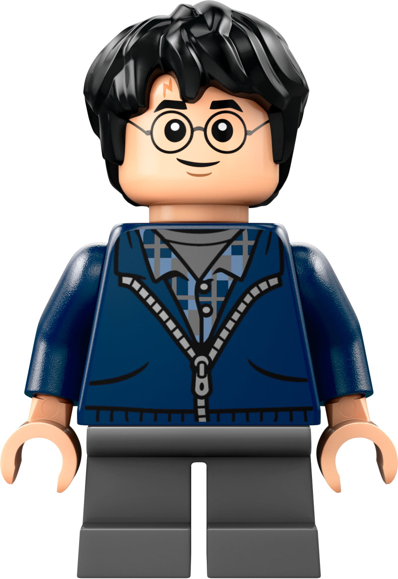 LEGO® - Harry Potter - hp495 - Harry Potter (76434)