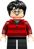 LEGO® - Harry Potter - hp509 - Harry Potter (76437)