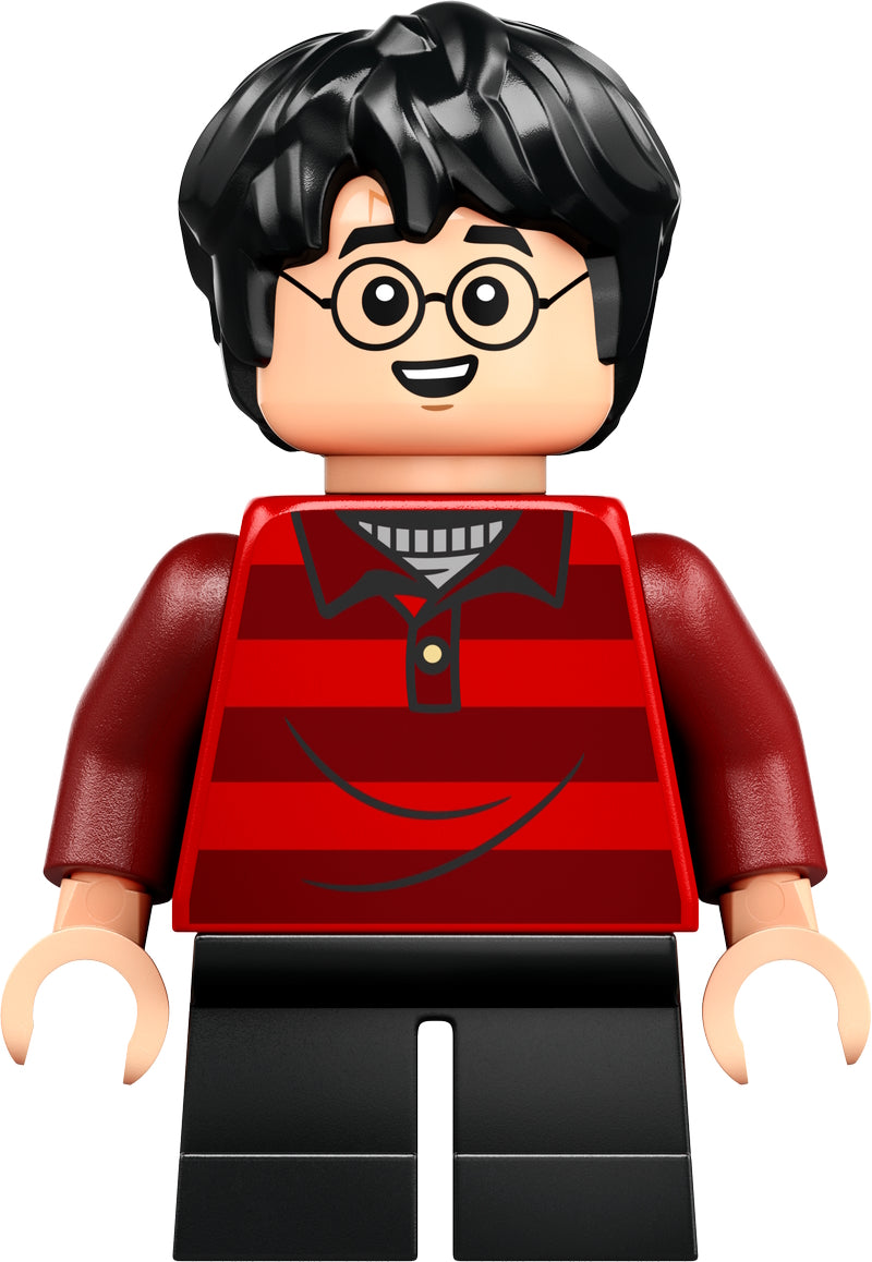 LEGO® - Harry Potter - hp509 - Harry Potter (76437)