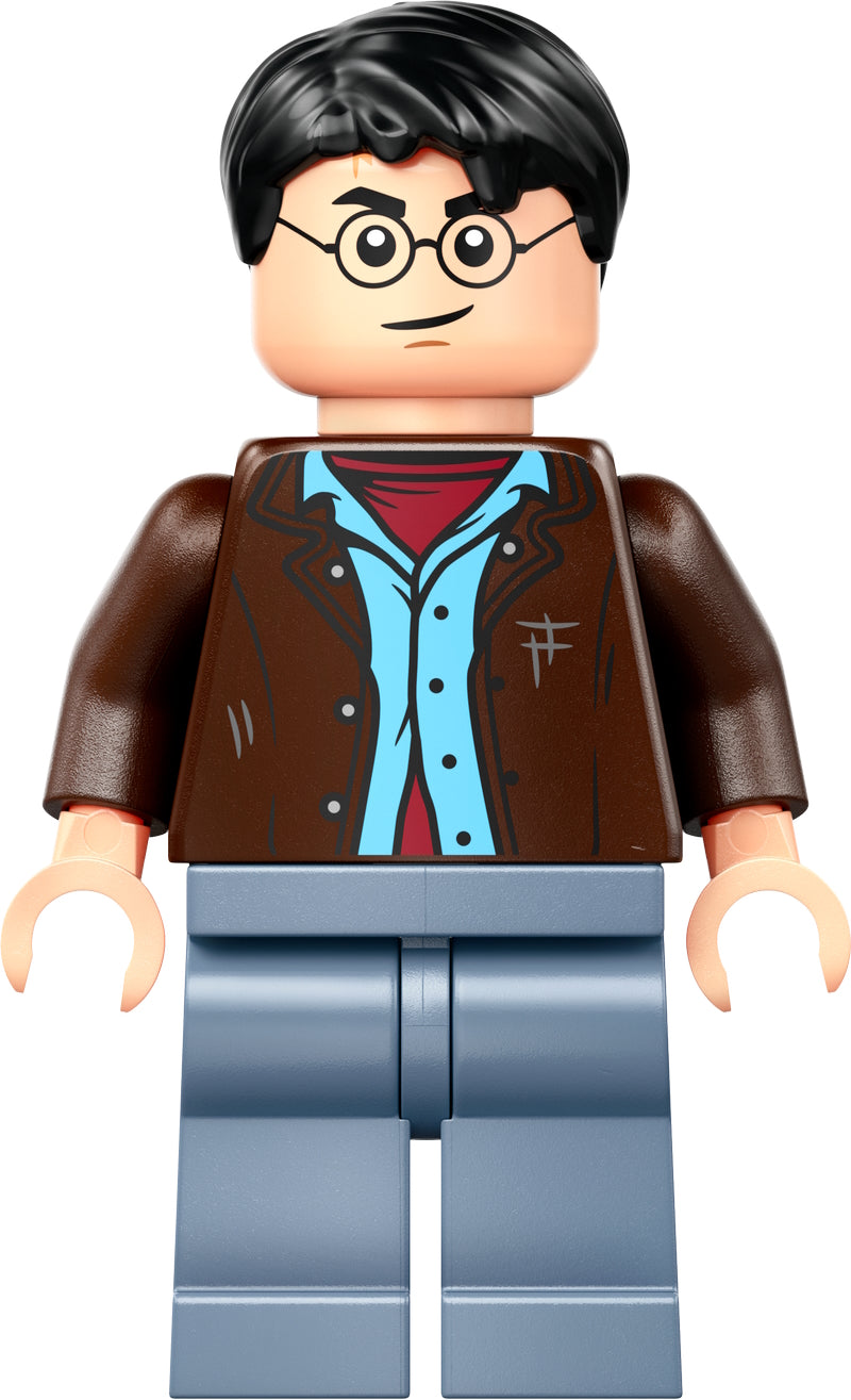 LEGO® - Harry Potter - hp528 - Harry Potter (76453)