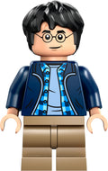 LEGO® - Harry Potter - hp544 - Harry Potter (76446)
