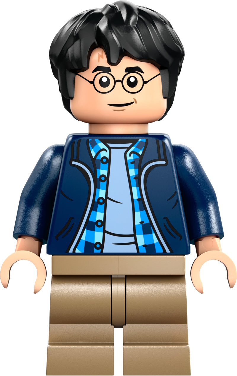 LEGO® - Harry Potter - hp544 - Harry Potter (76446)