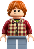 LEGO® - Harry Potter - hp577 - Ron Weasley (76452)