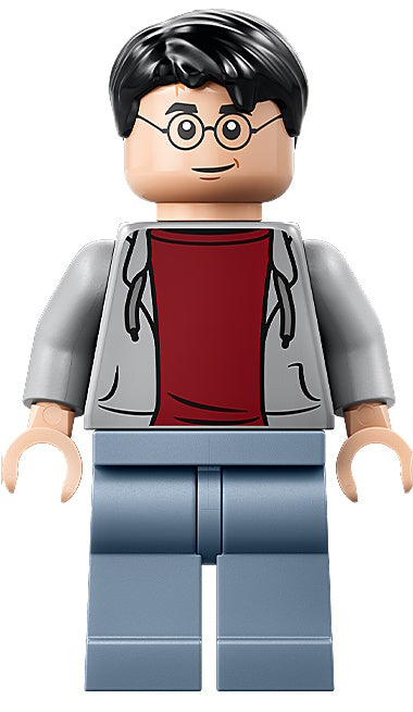 LEGO® - Harry Potter - hp631 - Harry Potter (76471)
