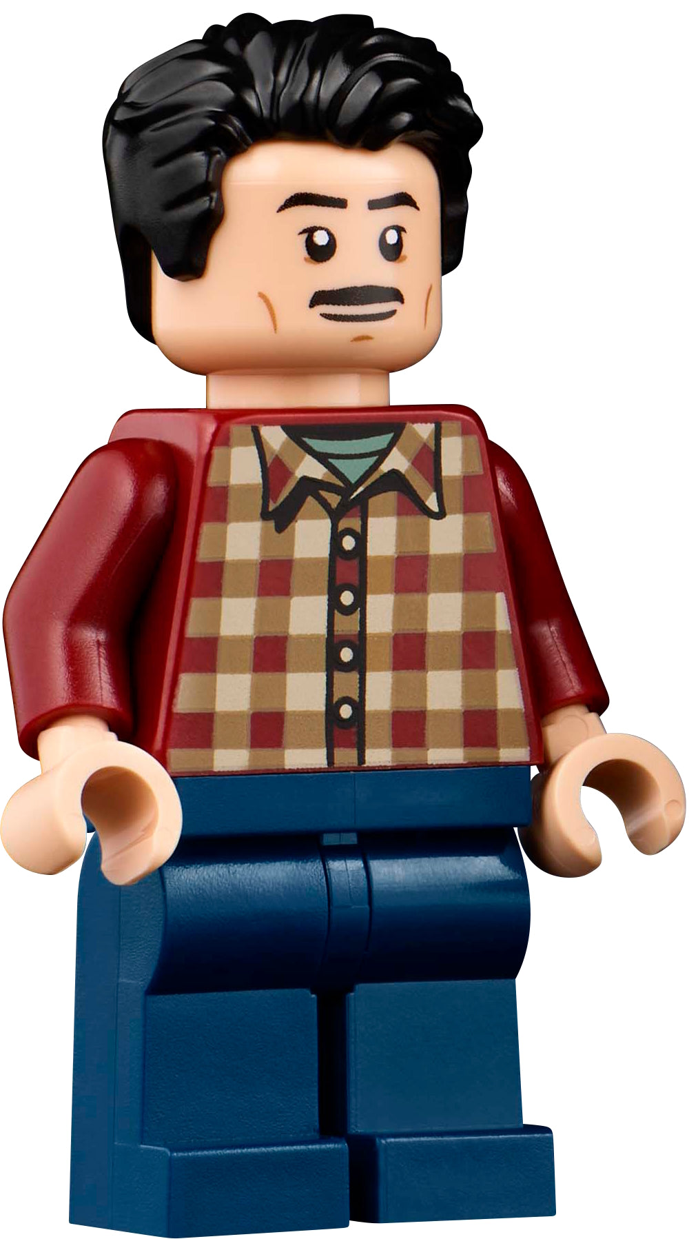 LEGO® - Ideas - idea217 - Charlie Swan (21354)