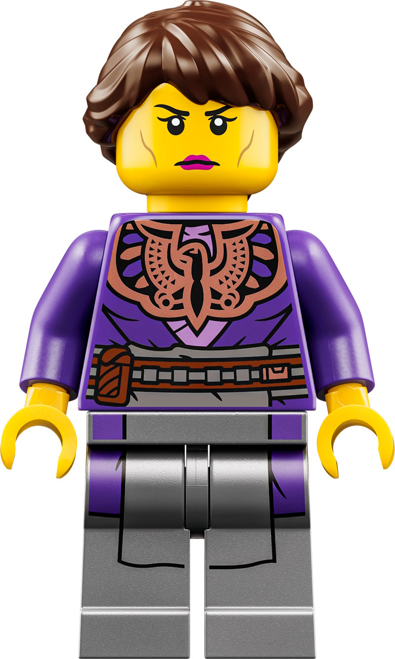 LEGO® - Ninjago - njo1071 - Master of Shadow (71867)