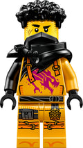 LEGO® - Ninjago - njo981 - Arin (30700)